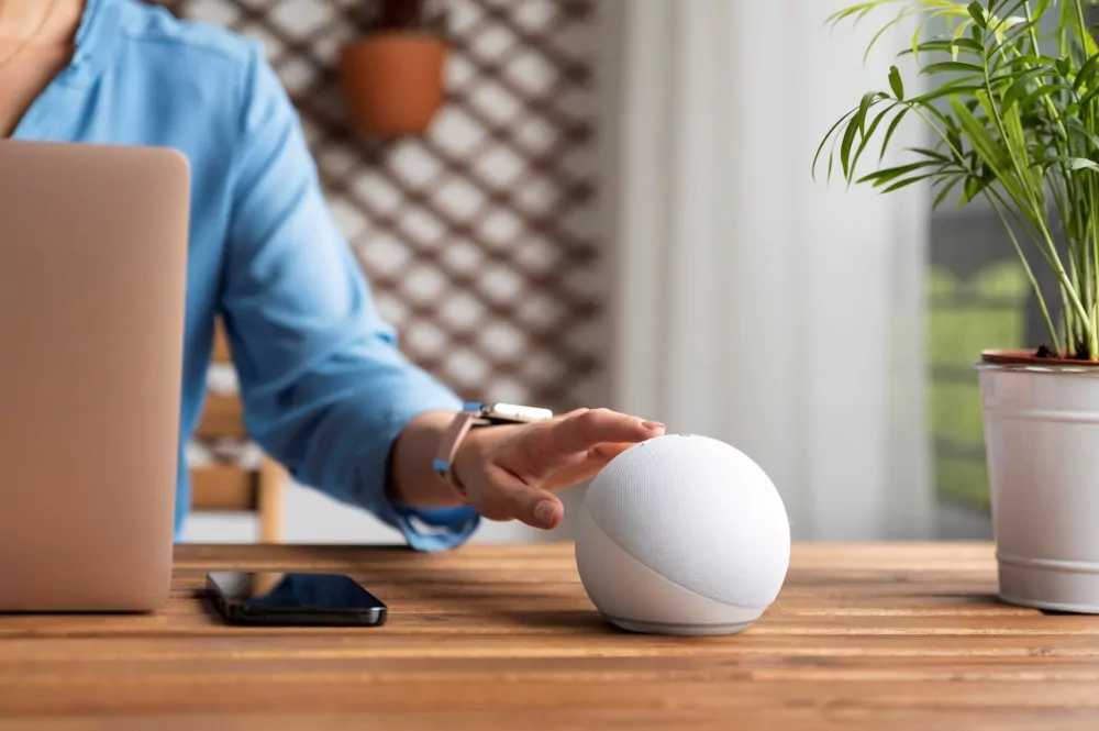 Why Voice Integration Is the New Product Standard